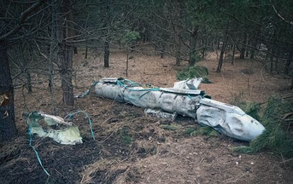 
У лісі Сумської області знайшли ракету Х-59. Поліція показала відео її знищення 