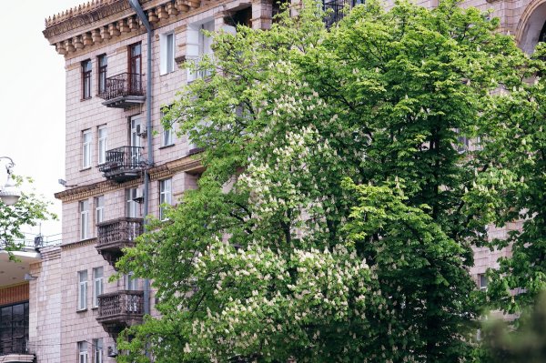 
Куди піти в Києві: топ безкоштовних локацій для весняного вікенду 