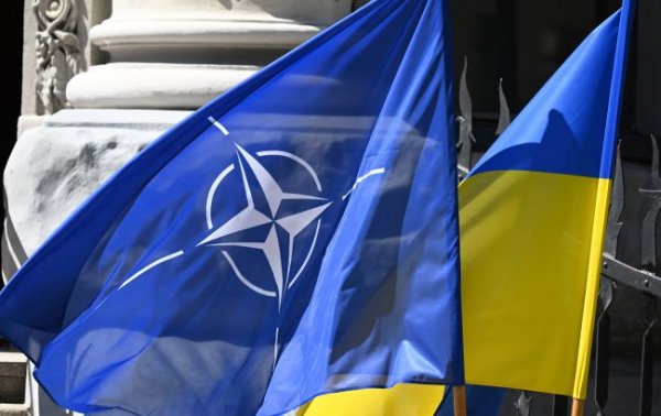
НАТО призначить відповідального за довгострокову допомогу Україні, - WSJ 