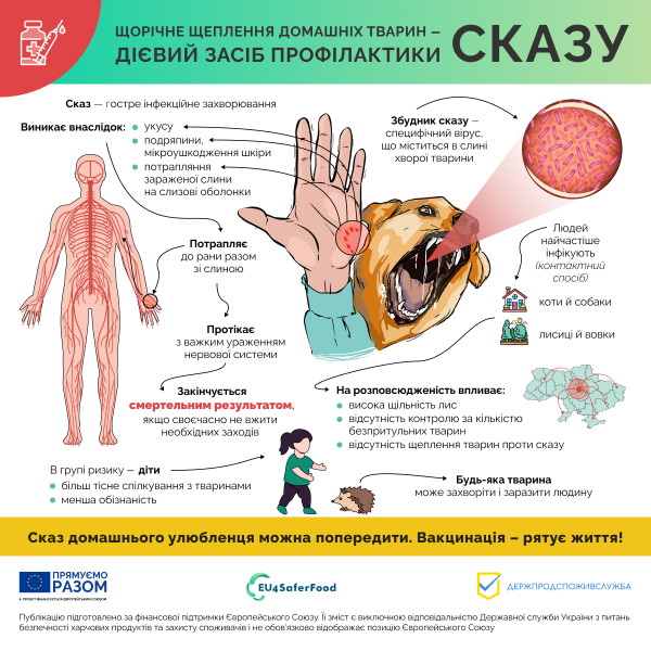 
Захворювання на сказ: як запобігти смертельно небезпечній інфекції 