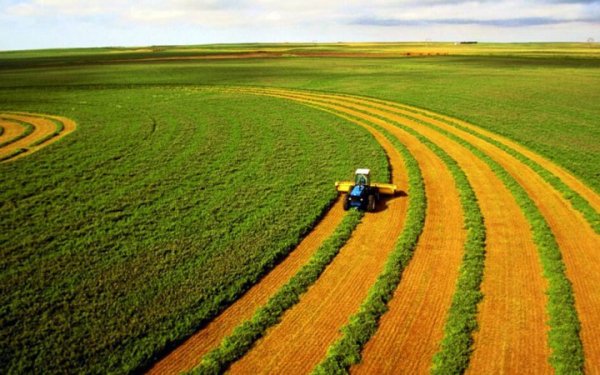 ФДМУ оголосив перші аукціони з оренди сільськогосподарської землі
                                