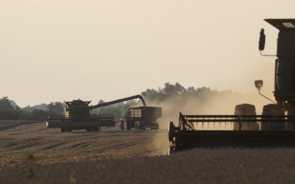 Росіяни планують збільшити масштаби крадіжки українського зерна
                                