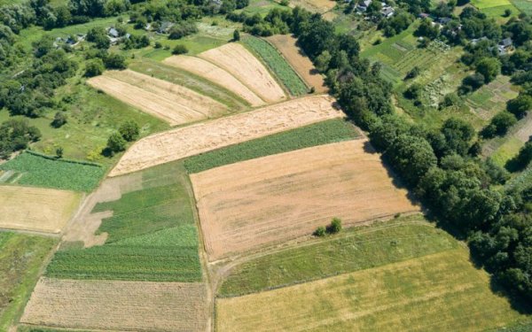 В Україні провели перший аукціон з оренди держземлі в рамках проєкту "Земельний банк"
                                