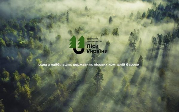 У наглядову раду "Лісів України" увійшли троє незалежних членів та один представник держави
                                