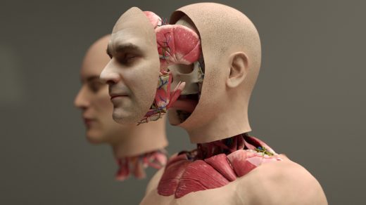Американський стартап BrainBridge оголосив про амбітний план провести першу у світі трансплантацію людської голови за допомогою повністю роботизованої системи.
