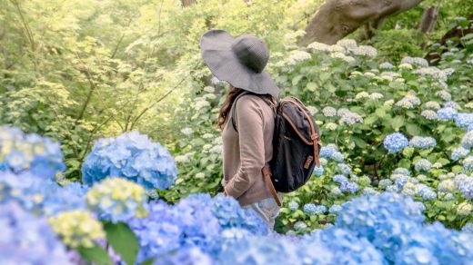 Досліджуємо тренд Horti-Culture в садівничому туризмі 2025 року. Як цей напрямок змінює туристичну індустрію та привертає увагу мандрівників.