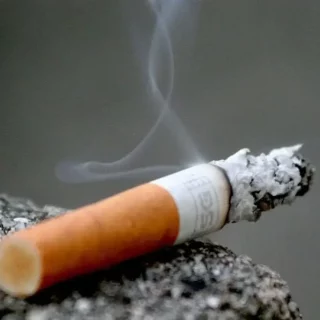 Дізнайтесь, як нікотин змінює роботу мозку та нервової системи, впливає на настрій, памʼять і залежність. Детальний розбір від FBC.net.ua.