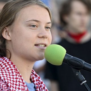 Після затримання в Середземному морі Грета Тунберг різко висловилась проти Ізраїлю та Дональда Трампа, назвавши дії ізраїльських сил викраденням у міжнародних водах.