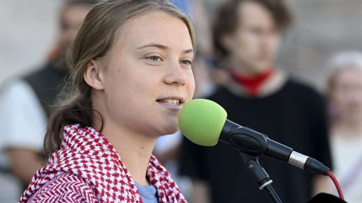 Після затримання в Середземному морі Грета Тунберг різко висловилась проти Ізраїлю та Дональда Трампа, назвавши дії ізраїльських сил викраденням у міжнародних водах.