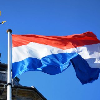 Нідерланди зацікавлені в українських органічних заморожених ягодах. Україна зміцнює позиції на європейському ринку, нарощуючи експорт продукції.