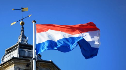 Нідерланди зацікавлені в українських органічних заморожених ягодах. Україна зміцнює позиції на європейському ринку, нарощуючи експорт продукції.