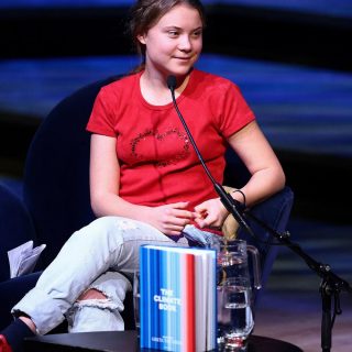 Ізраїльські військові зупинили судно Madleen з Гретою Тунберг на борту біля берегів Гази, операцію супроводжували квадрокоптери та вертольоти.