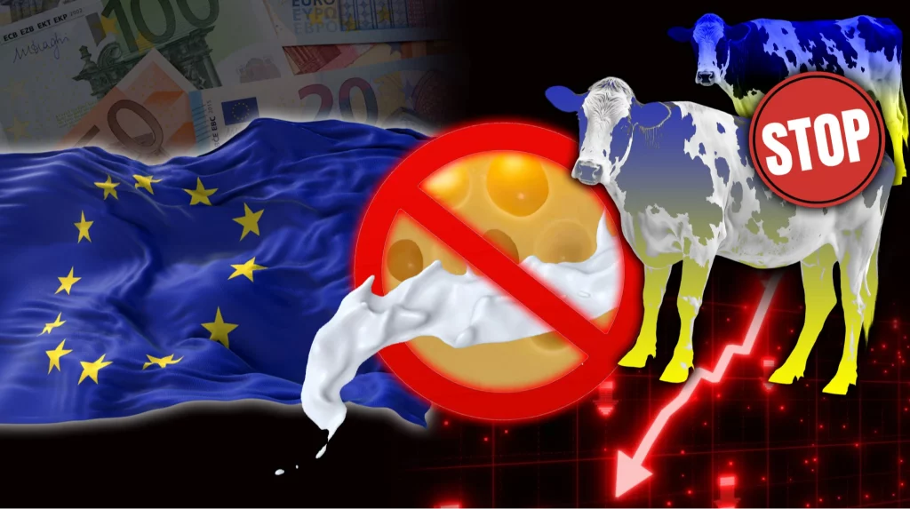 ЄС знову ввів квоти й мита на українську молочну продукцію, що спричинило різке падіння експорту та поставило під загрозу стабільність галузі.