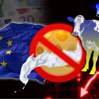 ЄС знову ввів квоти й мита на українську молочну продукцію, що спричинило різке падіння експорту та поставило під загрозу стабільність галузі.