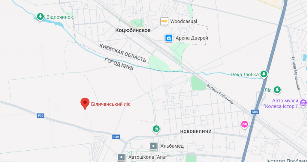 Грибні місця Києва 2025: де шукати, коли збирати та поради для новачків
