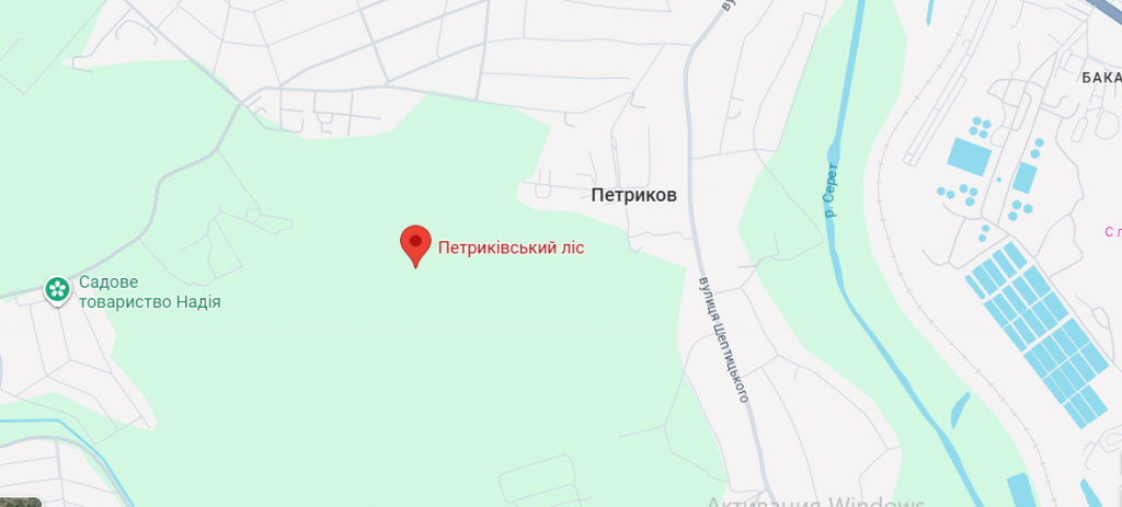 Грибні місця Дніпропетровщини 2025: де шукати найкращий урожай, поради, локації та сезонні секрети
