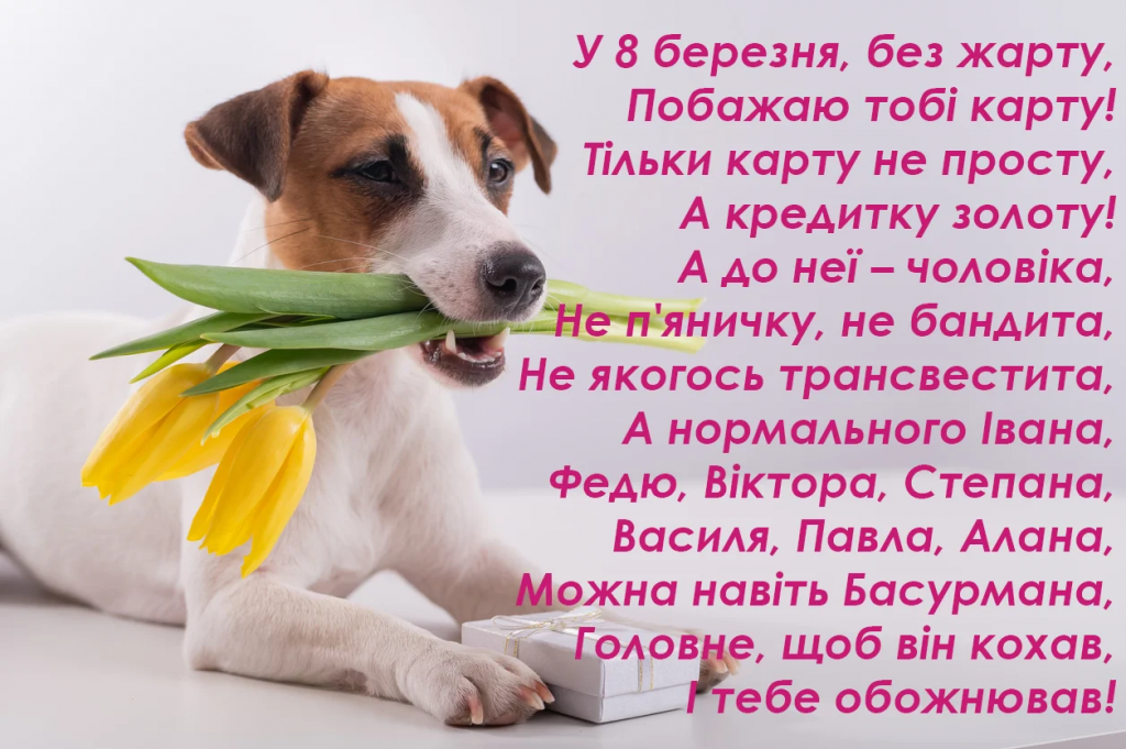 Прикольні привітання подрузі з 8 березня 2026: смішні тексти та картинки, які змусять її реготати